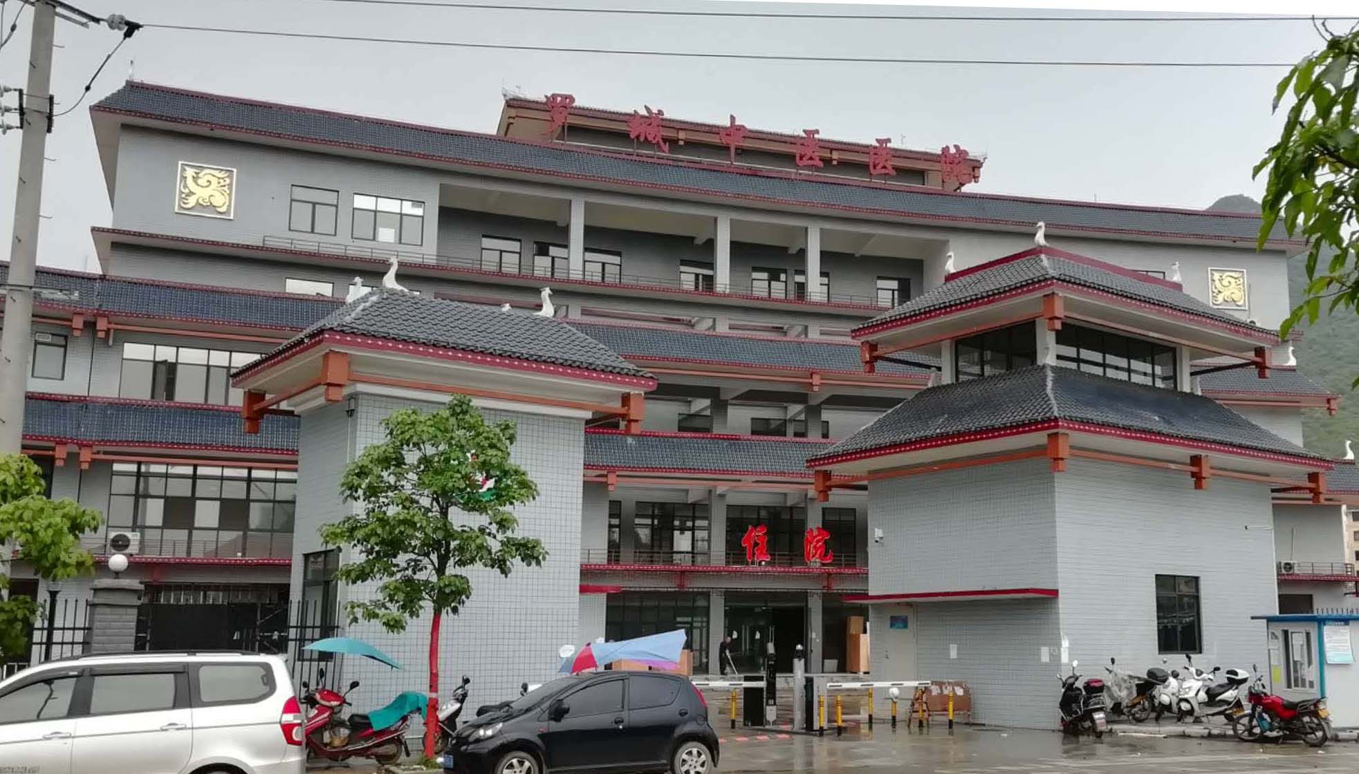 羅城仫佬族自治縣中醫(yī)醫(yī)院醫(yī)院